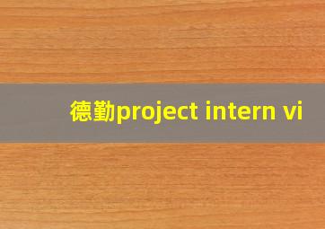 德勤project intern vi